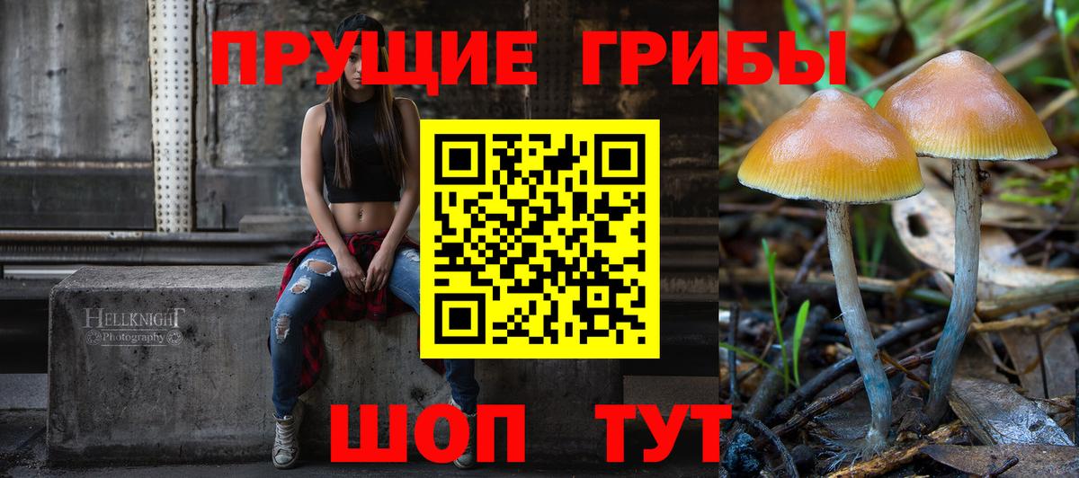 Псилоцибиновые грибы Psilocybine cubensis  дарнет шоп  Вход с VPN  Кубинка  Псилоцибиновые грибы MAGIC MUSHROOMS 